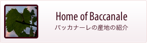 バッカナーレの産地の紹介